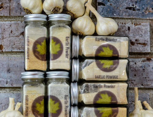 DIY Garlic Powder